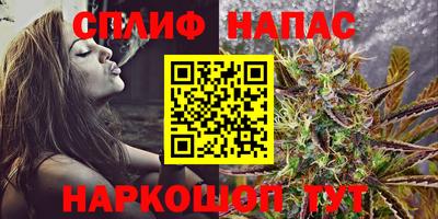 гидра Моздок